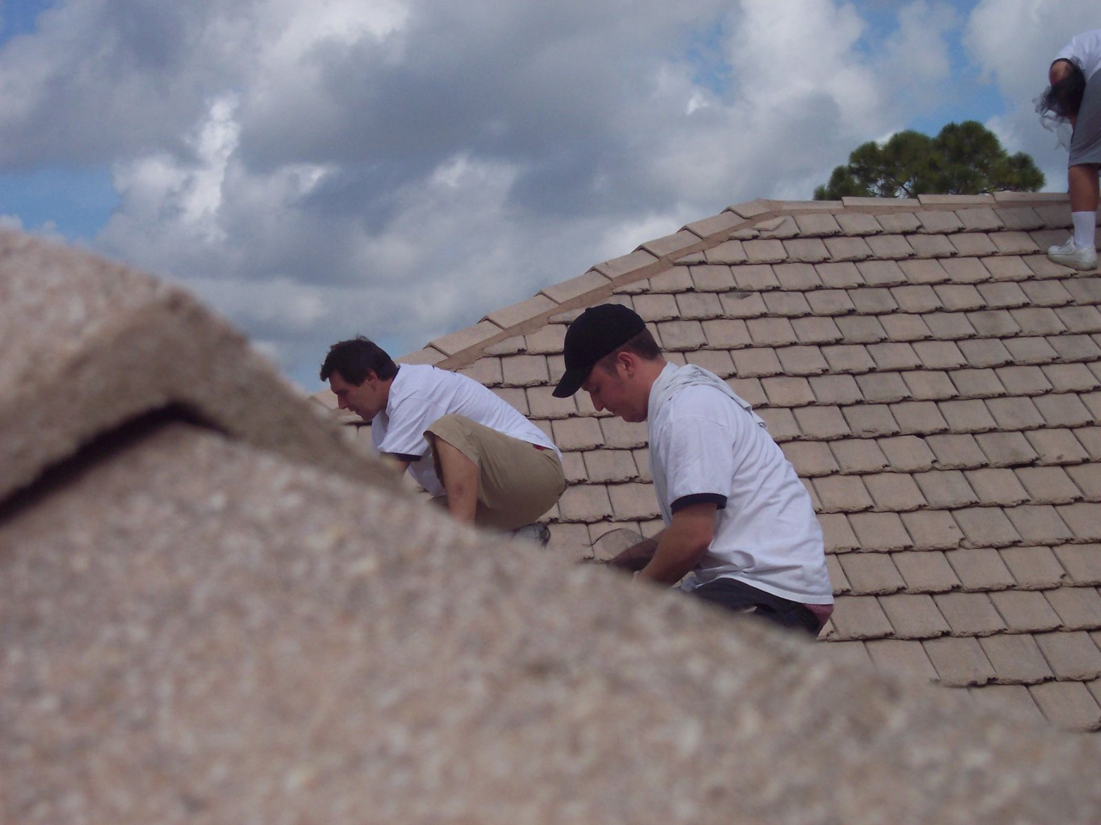 Bat specialists inspecting a tile roof