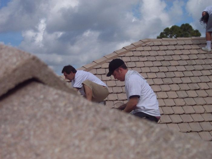 Bat specialists inspecting a tile roof
